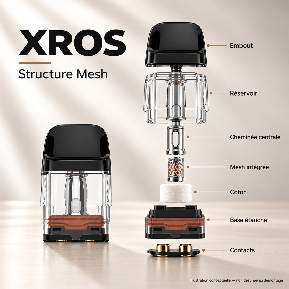 Cartouche XROS — structure Mesh